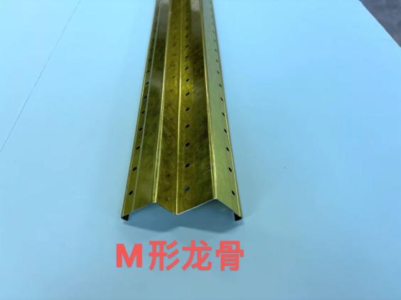 M形龍骨